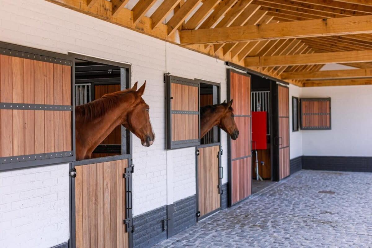 Huswell - Lady - Lovely Double Room At Ranch De Blauwe Zaal Brügge Exterior foto